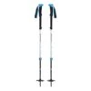Black Diamond Expedition 2 Pro White Black Poles (pair)