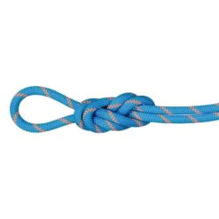 Mammut Alpine Sender Dry Standard 8.7 Mm 30 M Multi-Purpose Rope Blue