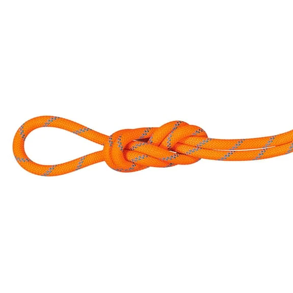 Mammut Alpine Sender Dry Standard 8.7 Mm 40 M Multi-Purpose Rope Orange 1 Mammut Alpine Sender Dry Standard 8.7 Mm 40 M Multi-Purpose Rope Orange