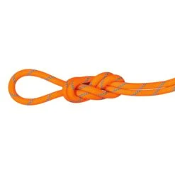 Mammut Alpine Sender Dry Standard 8.7 Mm 70 M Multi-Purpose Rope Orange