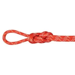 Mammut Gym Classic Standard 9.5 Mm 50 M Single Rope Red