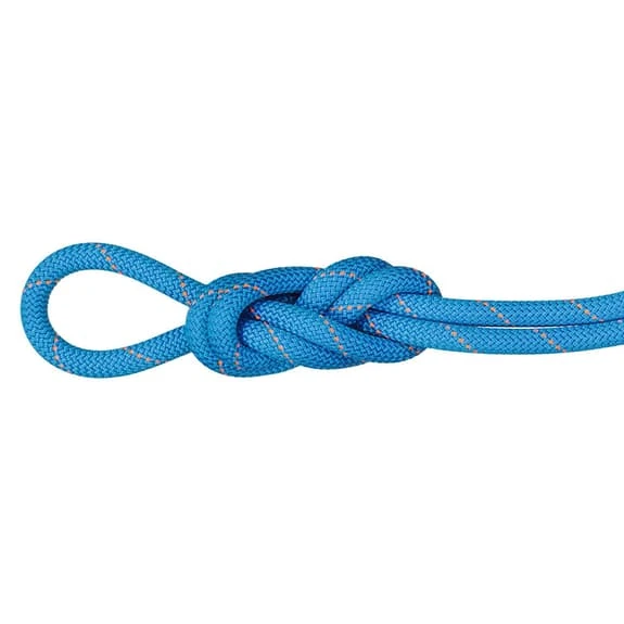 Single Rope Mammut Gym Workhorse Dry Standard 9.9 Mm 40 M Blue 1 Single Rope Mammut Gym Workhorse Dry Standard 9.9 Mm 40 M Blue