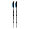 Poles Raidlight Evo-3 Charcoal Black Grey (Pair)