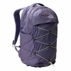 The North Face Borealis 23L Backpack Lilac Yellow Women