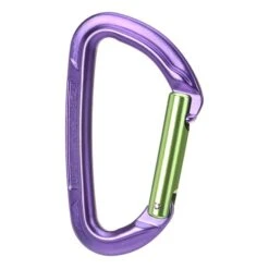 Wild Country Session Straight Gate Carabiner Lilac Green