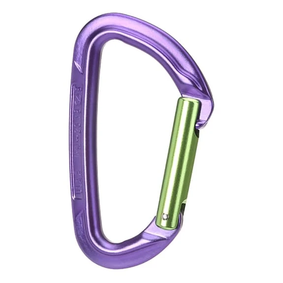 Wild Country Session Straight Gate Carabiner Lilac Green 1 Wild Country Session Straight Gate Carabiner Lilac Green